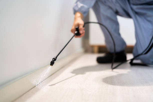 Licensed Termite Control service in Naperville, IL - Nex Pest Control