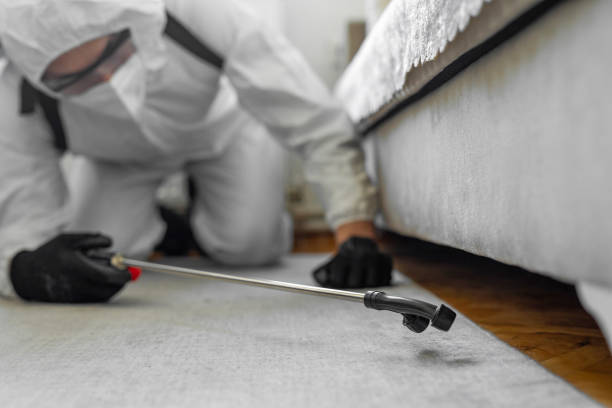 Professional Termite Control technician working in Naperville, IL