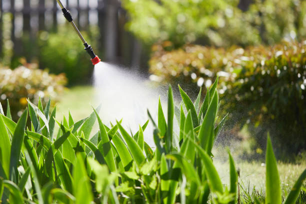24/7 Emergency Termite Control experts in Naperville, IL