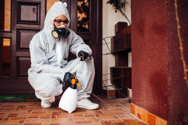 Reliable Termite Control contractor in Naperville, IL by Nex Pest Control