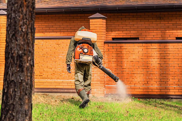 Top rated local Termite Control specialists in Naperville, IL